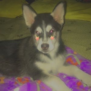 Meet your Posher, Fernando